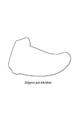 Szybka do kasku HJC F100, F100 Carbon RST złota [model wizjera: HJ-45B]