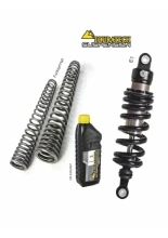 Zestaw obniżający wysokość motocykla: Amortyzator E1 + progresywne sprężyny widelca przedniego zawieszenia Touratech BMW G 310 GS (17-23) [-50 mm]